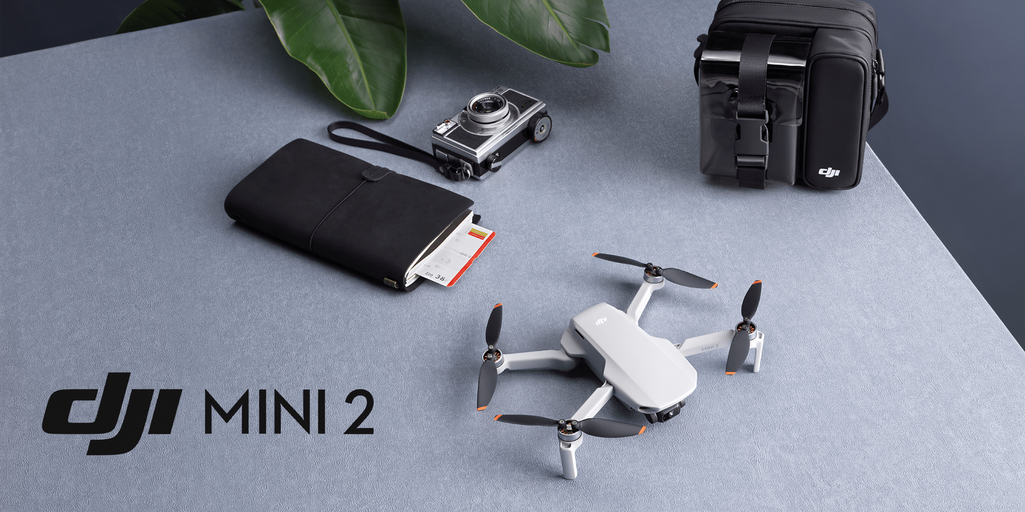 DJI Releases the Mini 2: The Best Beginner Drone (Updated) - DrDrone.ca