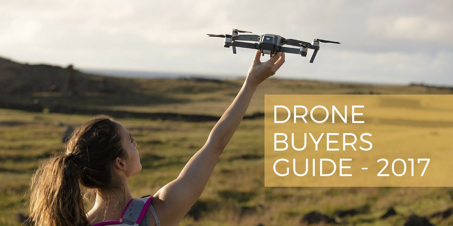 Drone Buying Guide 2017: Find the Perfect Drone for You - DrDrone.ca